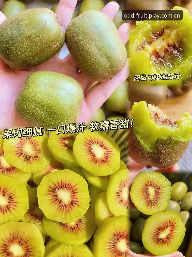 奇异果体育用户评价 奇异果体育用户评价深度评测:从新手到高手的真实体验报告