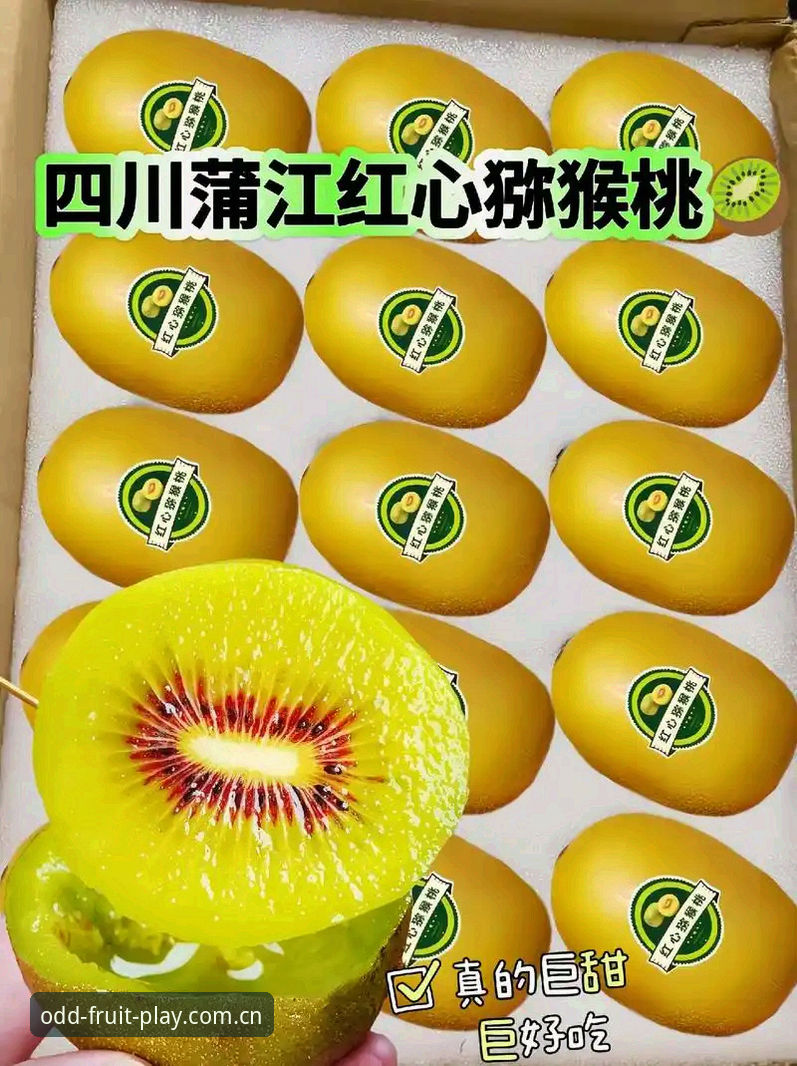 奇异果体育官网实测：7个关键维度帮你判断是否值得下载