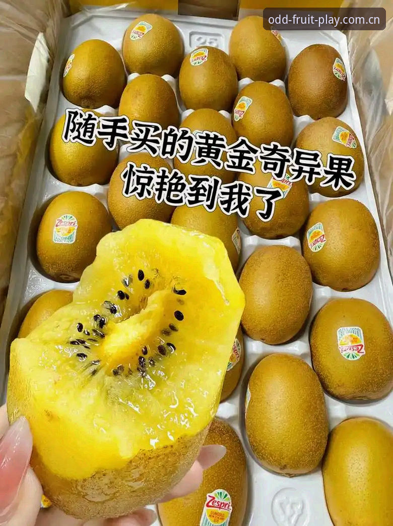 奇异果体育官网vs苹果版下载：新用户如何选择更合适的入口？