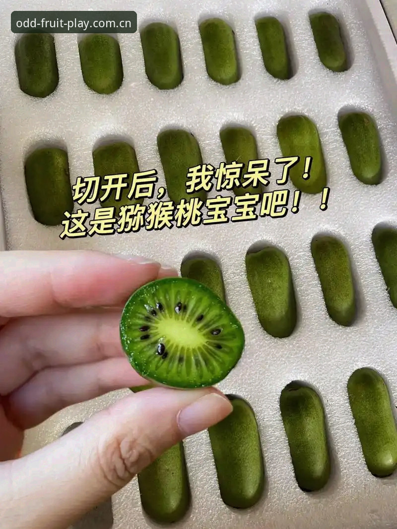 奇异果体育官网实测：7个关键维度帮你判断是否值得下载